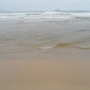 자작도 비치하우스 이미지