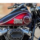 썬더커스텀 이미지