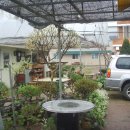 유원농장 이미지