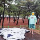 지경국민여가캠핑장 이미지