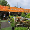 신세대뱅크플라워