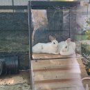 태안키즈풀빌라아이랜드 이미지