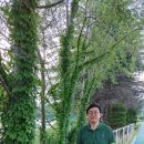 속초보광병원 이미지