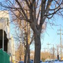 지에스25안산본 이미지