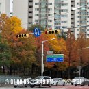 J&P 당구클럽 | [11월의 일상] 어떻게 될지 모른다! (점점 P가 되어가는 J)