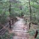 하늘재민박 이미지