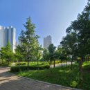 e편한세상 도화6-1단지 앞 1 이미지