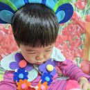 꽃뿐이네 이미지