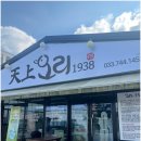 천상오리 이미지
