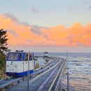 석주 물회 | [경북 울진] 겨울 가족여행지 추천 –스카이레일부터 덕구온천까지 완벽가이드