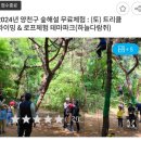 숲 체험 리틀 포레스트 이미지