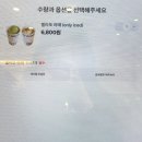 중앙파출소 화장실 | [대구] 동성로 젤라또 가게, 멜티코 동성로, 빨간 맛!