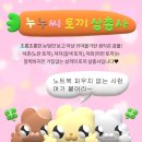 블루아이즈캣 네이버블로그
