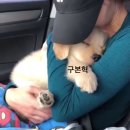 모해
