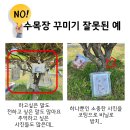 추모공원 야외 | 수목장 사진 액자 야외 추모공원 납골당 꾸미기 리버스앤 감동 후기