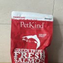 카인드마트 | 펫카인드 그린트라이프 살몬 연어 사료 리뷰 웰시코기가 반한 고단백 천연 사료