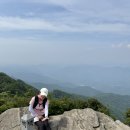 무릉도원면-49 | [평창/영월]100대명산 강원1일2산 백덕산, 태화산 최단코스 등산