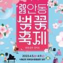 천리고가교 북단 교차로 ~ 중앙사거리 | 낙동강변을 따라 벚꽃이 장관을 이룰 2023 안동 벚꽃 축제