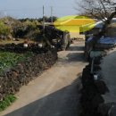 에이엠씨월드 이미지