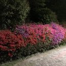 상삼공원 이미지