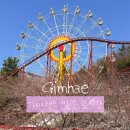 청룡농장 | 김해 가야랜드 벚꽃 명소 놀면뭐하니 놀이공원 방문후기(26.3.28)