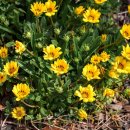 제주풍경하우스 이미지