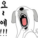 219 피자애비뉴(PIZZA AVENUE) 이미지