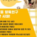 도그팰리스 이미지