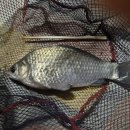 용담낚시터 이미지