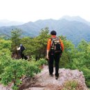 충청도의 산] 성치산 (670m) 충남 금산군 남이면ㆍ전북 진안군 주천면 이미지