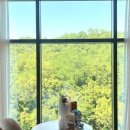 데메테르M 이미지