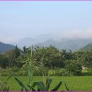 번암동화로 이미지