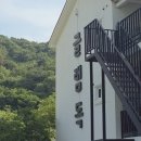 통영 애견펜션 글램독 내돈내산 1박후기 강아지와 통영여행