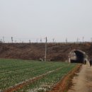 강정마을회관 이미지