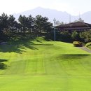 대우카프라자 이미지