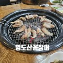 산꼼장어 이미지