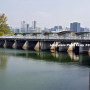 기흥호수공원(뚝방) 이미지