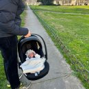 내차병원 | 싸이벡스 코야 COYA 휴대용 유모차 내돈내산 사용후기