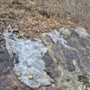 평원농장 | 영남알프스 신불산 억새평원 간월재 억새숲 초보자 최단 코스 사슴농장 주차 11월 날씨