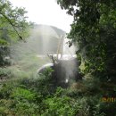 물고기의눈물이호수로 이미지