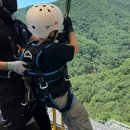 결초보은시장(구 보은종합시장) | 보은 여행 5박6일 일정 둘째날 아이와가볼만한곳