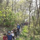 강천초등학교 이미지