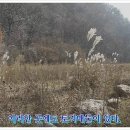 방내리 가마소 Daum카페