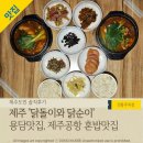 닭돌이와닭순이 이미지