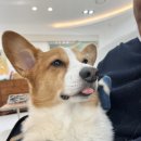 메이 동물병원 이미지