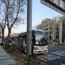 매화1 | 2026 광양매화축제 버스투어 후기 풍경있는 여행 1