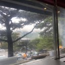 대감이동갈비 | 포천 이동갈비 재방문한 맛집 소문난이동갈비 포천이동본점