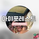 마이포레스트 | [아이폰스냅] 가격도 좋은 느좋 아이폰 본식 스냅 마이포레스트 계약후기