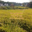 여주-1002 이미지