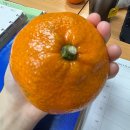 우신오리마을 | 사랑은 그런거야